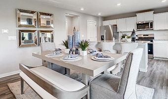 5 Walnut Mill Way Plan: Chatham, Ashville, OH 43103