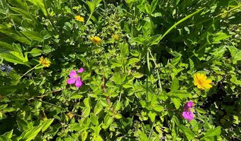 BEACH RD, Keaau, HI 96749