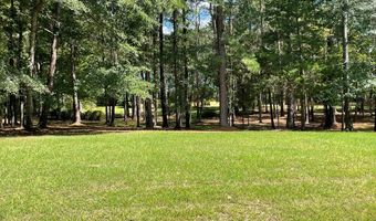 369 River Road Dr SE, Bogue Chitto, MS 39629