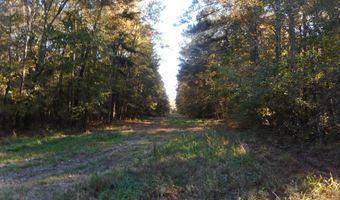 E-S Drive, Braxton, MS 39044