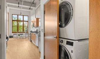 231 Robinson St 218, Basalt, CO 81621