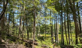 35 SW Brook Ln, Beddington, ME 04622