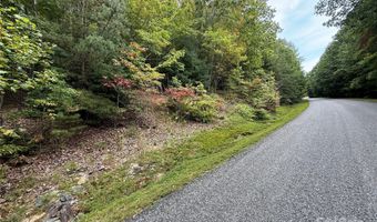 1029 Chippawa Dr 67, Arden, NC 28704