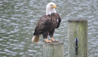 38884 COLLINWOOD Dr, Abell, MD 20606