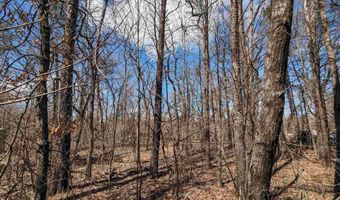Lot 38 14th Court, Wisconsin Dells, WI 53965