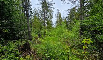1895 TBD BLUE CREEK ROAD Rd, Addy, WA 99101
