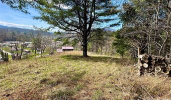 Mitchell Avenue, Bakersville, NC 28705