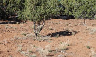 113 County Road 8092 Cedar, Concho, AZ 85924