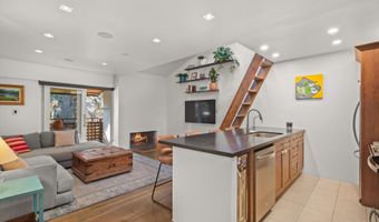 910 W Hallam St 11, Aspen, CO 81611