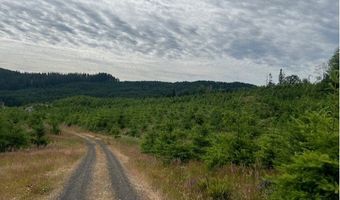 Northrup Creek Rd, Birkenfeld, OR 97016