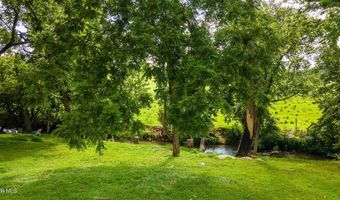 1075 Afton Rd, Afton, TN 37616