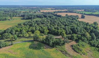 224 County Road 1003, Bardwell, KY 42023