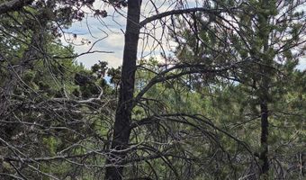 3221 Elk Springs Dr, Glenwood Springs, CO 81601