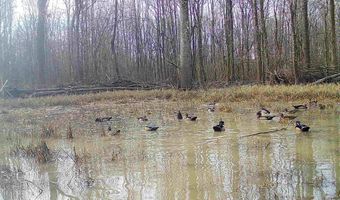 Gun Baoyu Road, Belzoni, MS 39038
