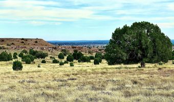228 County Rd N9328, Concho, AZ 85924