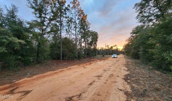 0 Bienville Ct Lot 2, Alford, FL 32420