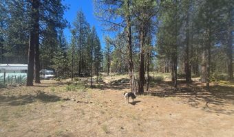 Smith Drive lot 5, Beatty, OR 97621
