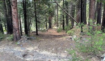 37 Iroquois Dr, Camp Connell, CA 95223