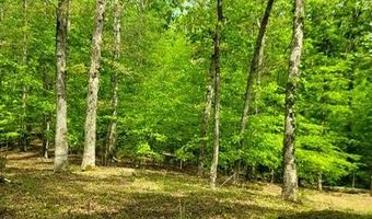 Barnes Road, Bardstown, KY 40004