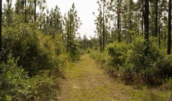 604 Charles Booker Rd, Baker, FL 32531