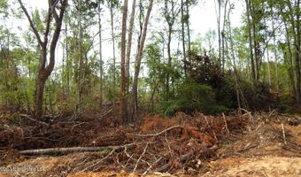 590 County Road 247, Bruce, MS 38915