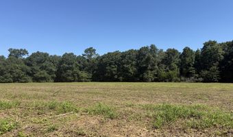 006 H Wallace Buie Rd, Ashford, AL 36376