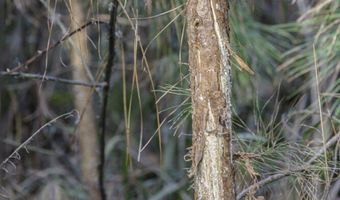 2116 Highway 84 E, Brookhaven, MS 39601