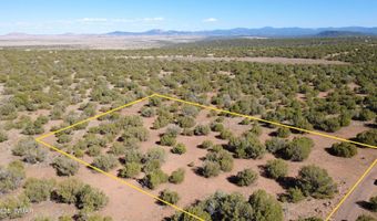 24 County Road 8063, Concho, AZ 85924