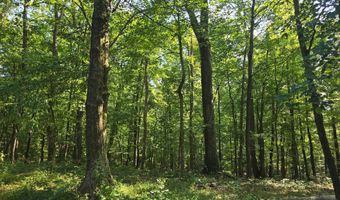 16112 BARNESVILLE Rd, Boyds, MD 20841