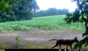 9891 Baskerville Rd, Baskerville, VA 23915