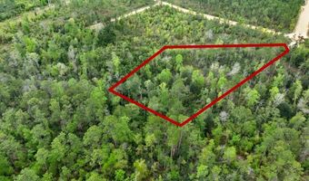 CASTLE CIRCLE, Alford, FL 32420