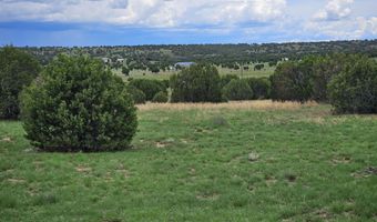 Birdwing Lane, Clay Springs, AZ 85923