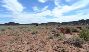 N8577 18, Concho, AZ 85924