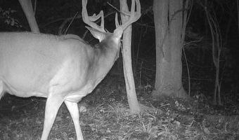 0000 E 1100 Rd, Baldwin City, KS 66006