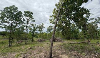 3968 HWY 167, Ash Flat, AR 72513