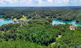 Arley Lndg, Arley, AL 35541