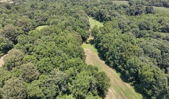 Hwy 1591, Bardwell, KY 42023