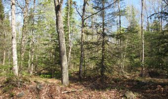US 141 Road lot Lukes Road, Amasa, MI 49903