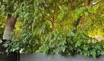 1625 1ST St NE, Washington, DC 20002