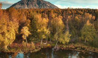 17261 N Rock Rose Ln, Chickaloon, AK 99674