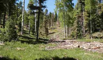 Lot 91ab Pam Coleman Drive, Angel Fire, NM 87710