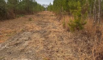 Qbf 12 Nurnberg Dr Road Qbf 12, Batesburg Leesville, SC 29070