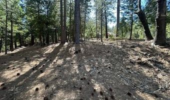 2179 Navajo, Arnold, CA 95223