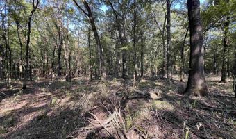 0 C FM 1326, De Kalb, TX 75559
