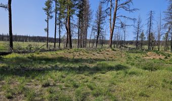 Parazoo Trail Lot 2 Block 8, Bly, OR 97622