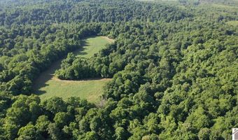 Sandy Branch Road, Bardwell, KY 42023