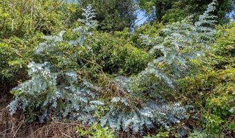 Haleakala Hwy, Kula, HI 96790