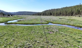 Mile Post 12 Fish Hole Creek, Bly, OR 97622