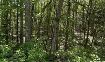 Washington Street lot 33 34 35, Barrington, NH 03825