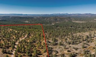 Lot 3 Foxfire Ranch, Bayfield, CO 81122